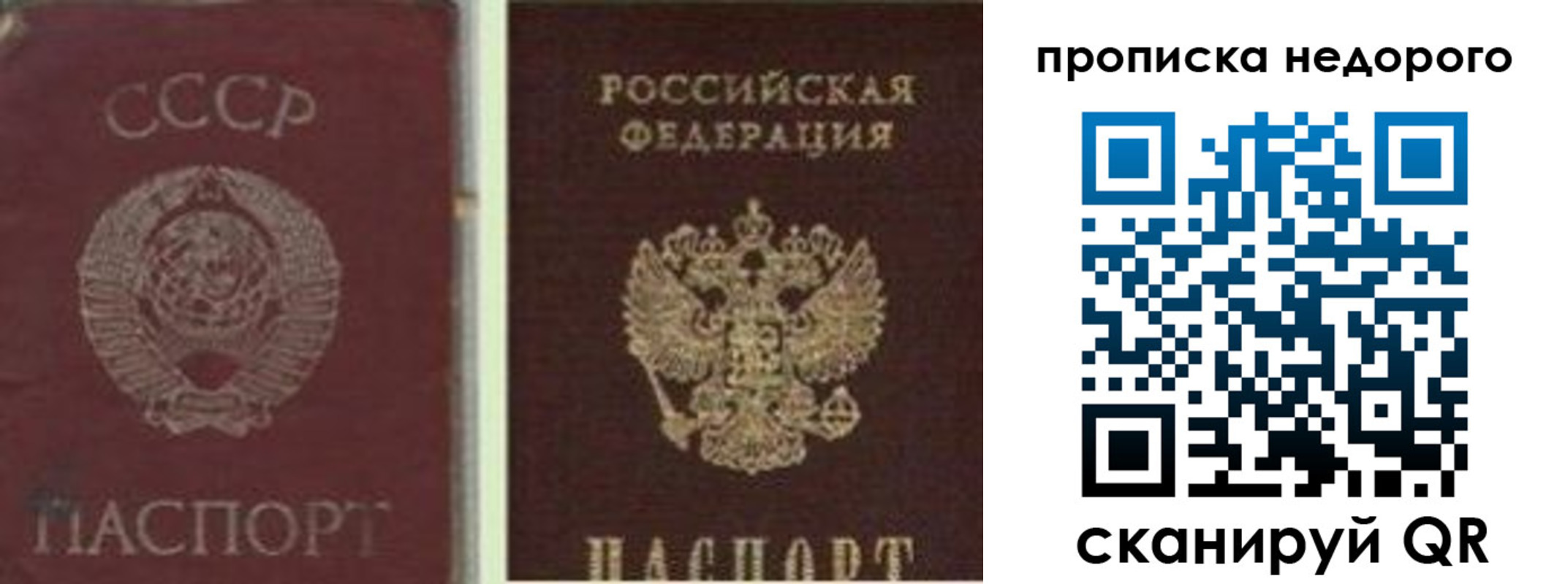 временная регистрация поиск в Киселёвске